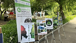 В Саратове экологам вручили награды и почетные грамоты 